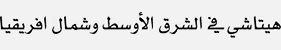 هيتاشي في الشرق الأوسط وشمال أفريقيا